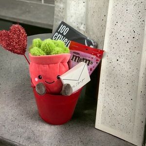 Valentine reusable red bucket gift